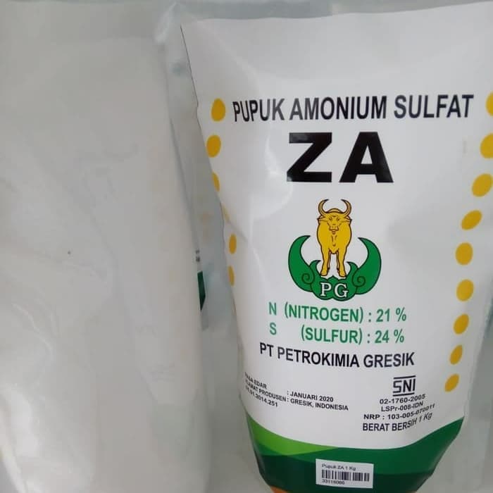 Kandungan, manfaat, fungsi dan kegunaan pupuk za atau amonium sulfat